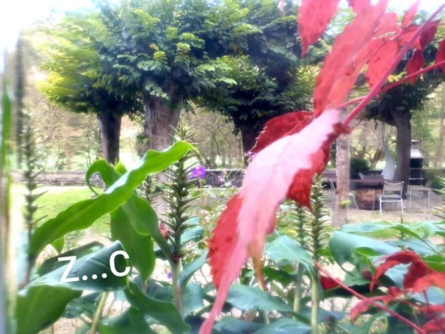 Zentral Club Neutron-Jacuzzi Daire Belmonte De Miranda Dış mekan fotoğraf